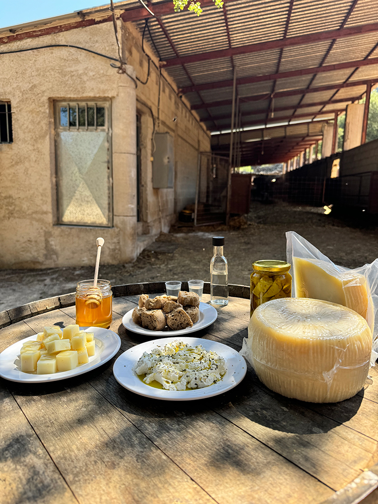 cretan food tour
